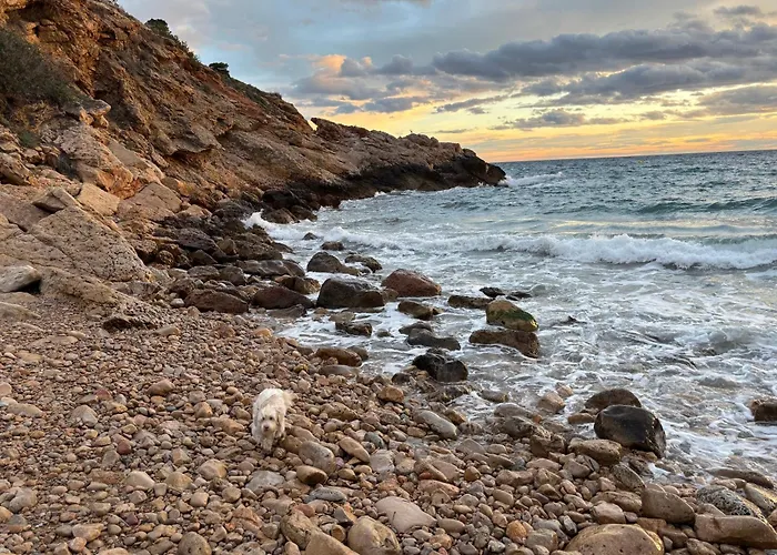 Bay Bliss Levante *