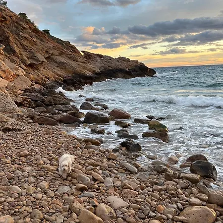 Bay Bliss Levante *
