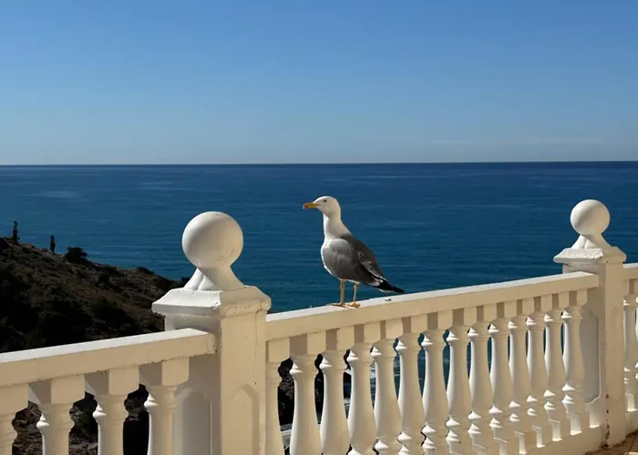 Bay Bliss Levante شقة بينايدورم